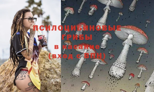 гидра Белоозёрский