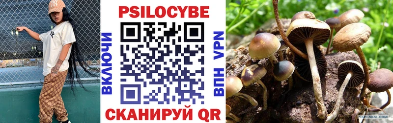 Псилоцибиновые грибы мухоморы  купить   ОМГ ОМГ сайт  Бобров 